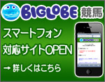 スマートフォン対応サイト